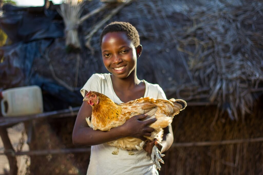 emmverse foundation (1)